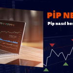 Pip Nedir, Nasıl Hesaplanır?