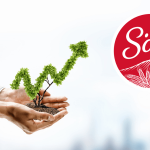 Söke Un ABD’de Yeni Yatırım için Görüşmelere Başlıyor