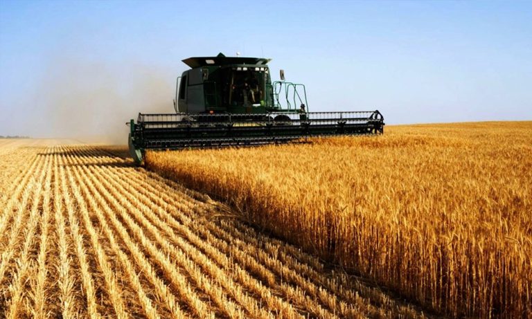 Tahıl Girişimi Kriziyle Gıda Fiyatları Yüzde 11,8 Yükseldi