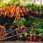 Tarım Üretici Enflasyonundaki Artış Temmuz’da Hızlandı