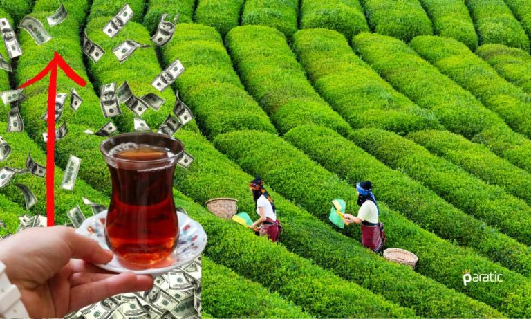 Türkiye’ye Çay Yılın İlk 7 Ayında Milyonlarca Dolar Kazandırdı
