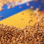 Ukraynalı Çiftçiler Tahılı Üretim Maliyetinin Altında Satıyor