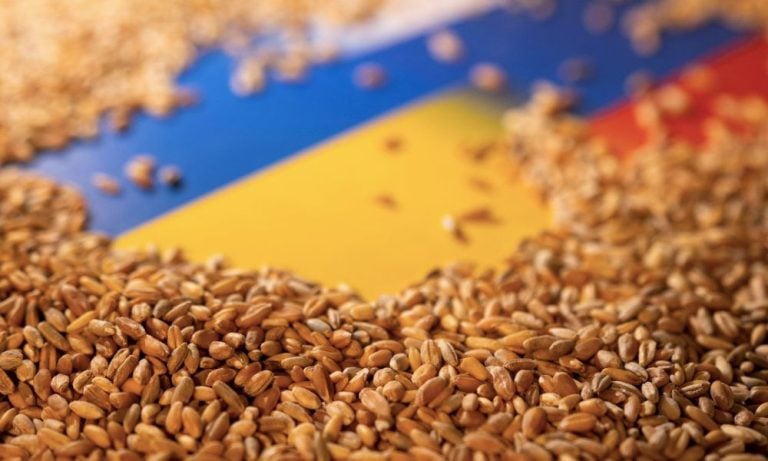 Ukraynalı Çiftçiler Tahılı Üretim Maliyetinin Altında Satıyor