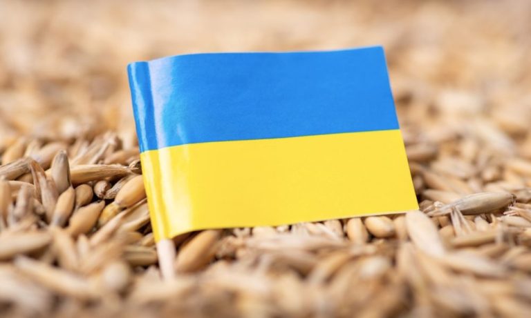 Ukrayna Tarım Ürünü İhracatı Temmuz’da Üçte Bir Oranında Azaldı
