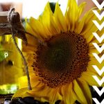 Zeytinyağından Sonra Ayçiçek Yağı Gündem Oldu