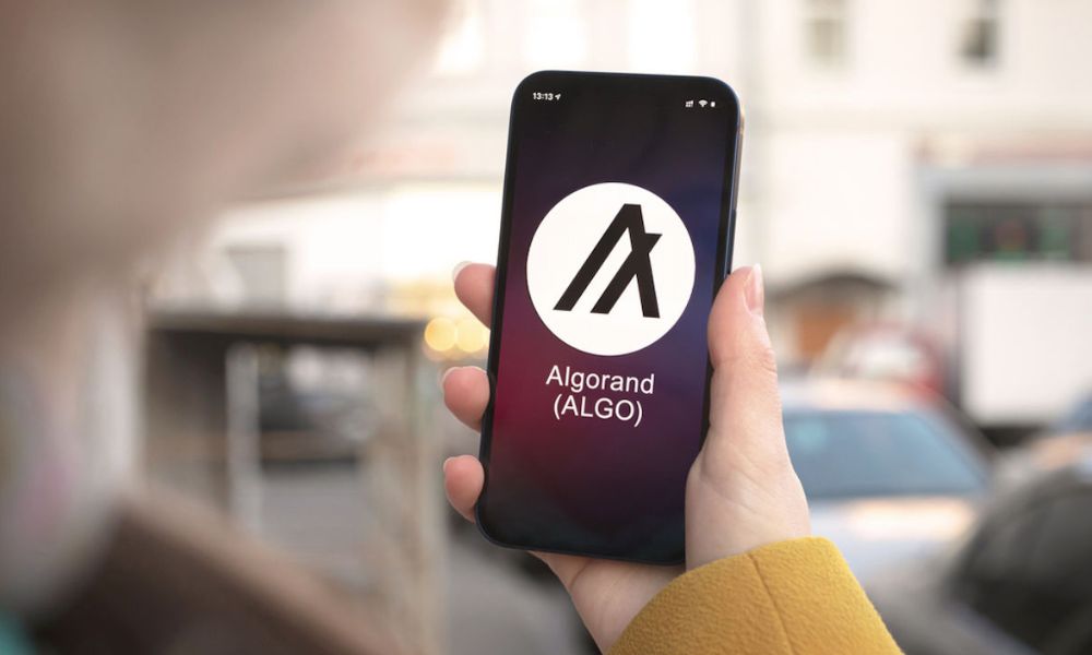 Ünlü Analist: Algorand Potansiyel Yükseliş İşaretleri Veriyor