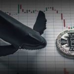 Bitcoin’deki Fiyat Dalgalanması Balinalar için Birikim Fırsatı Oldu