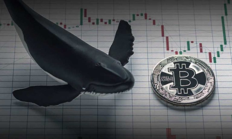 Bitcoin’deki Fiyat Dalgalanması Balinalar için Birikim Fırsatı Oldu