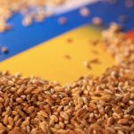 BM: Tahıl Girişiminin Bir Daha Askıya Alınmasını İstemiyoruz