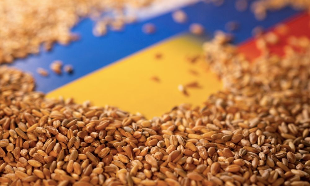 BM: Tahıl Girişiminin Bir Daha Askıya Alınmasını İstemiyoruz