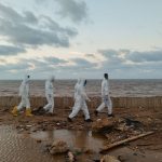 Dünya Sağlık Örgütü: Libya’daki Durum Hala Endişe Verici