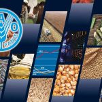 Küresel Gıda Fiyatları Ağustos’ta İki Yılın En Düşüğüne Geriledi