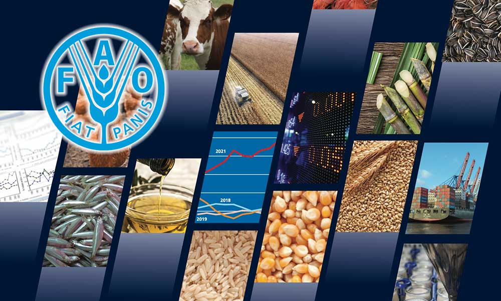 Küresel Gıda Fiyatları Ağustos’ta İki Yılın En Düşüğüne Geriledi