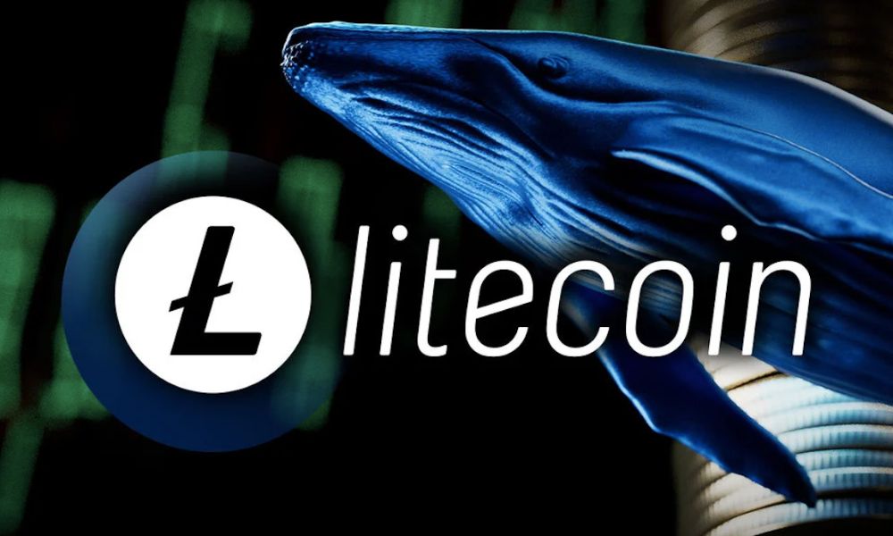 Litecoin Toparlanamıyor! Balina Faaliyetleri Neye İşaret Ediyor?