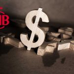 Merkez Bankası Rezervleri Artış Serisiyle 36 Yıllık Rekor Kırdı