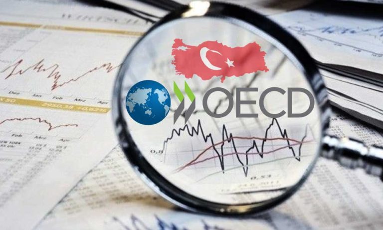 OECD Türkiye için Büyüme Beklentisini Aşağı Çekti