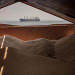 Patel: Türkiye’ye Tahıl Girişimi Çabaları için Teşekkür Ediyoruz