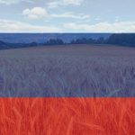 Rusya Dost Olmayan Ülkelere Tarım Ürünleri İhracatını Azaltıyor