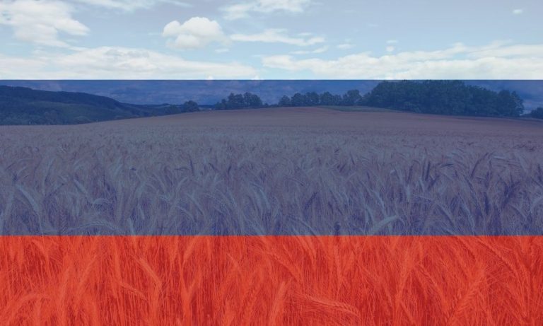 Rusya Dost Olmayan Ülkelere Tarım Ürünleri İhracatını Azaltıyor