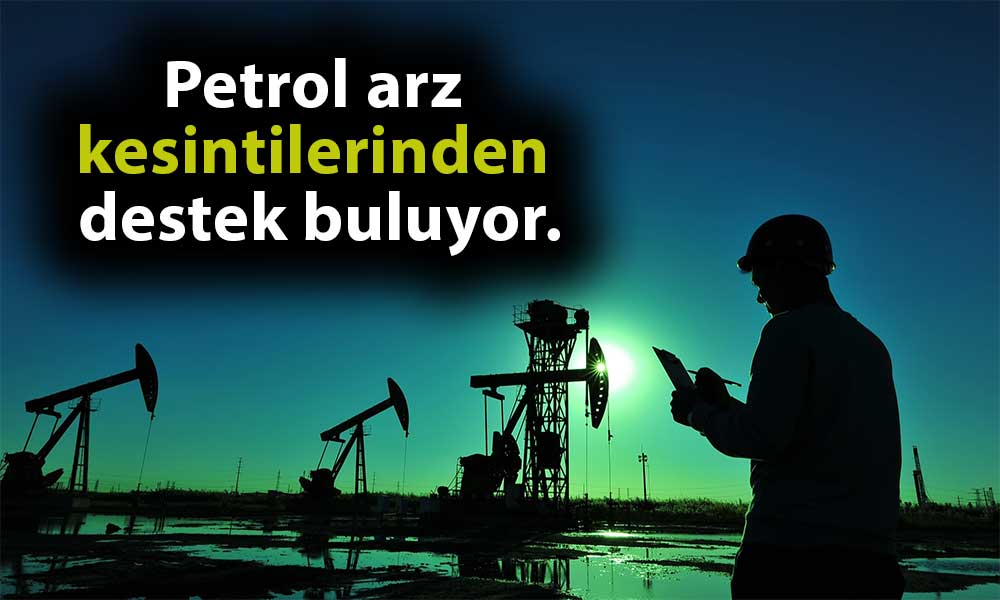 Petrol Arzda Düşüş Beklentileri ile İki Haftalık Kaybını Sildi