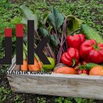 Tarım Üretici Enflasyonu Ağustos’ta Artış Seyrini Sürdürdü