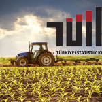 TÜİK Açıkladı: Tarımsal Girdi Enflasyonu Temmuz’da Arttı
