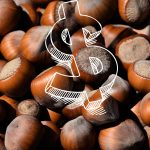 Türkiye 2022-2023 Sezonunda Fındık İhracatında Düşüş Yaşadı