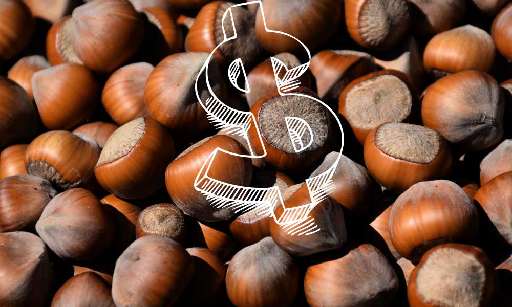 Türkiye 2022-2023 Sezonunda Fındık İhracatında Düşüş Yaşadı