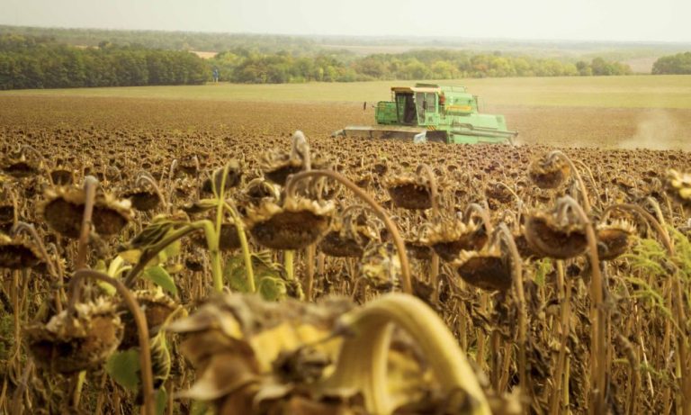 Ukrayna Ağustos’ta Tarımsal Ürün İhracatını Yüzde 16 Artırdı