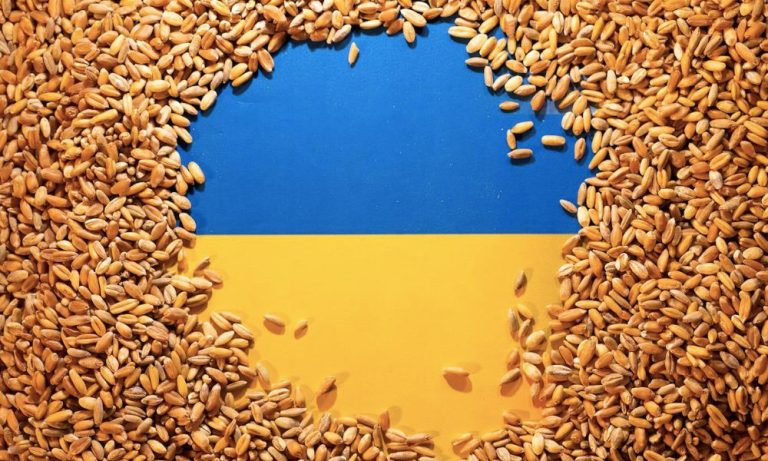 Ukrayna 3 AB Ülkesine Dünya Ticaret Örgütü Nezdinde Dava Açacak