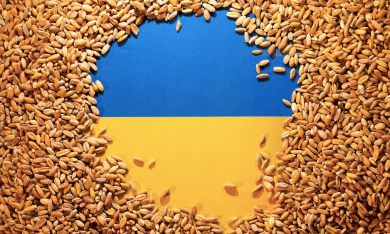 Ukrayna: Tahıl İthalatına Yönelik Yasak Genişletilmemeli
