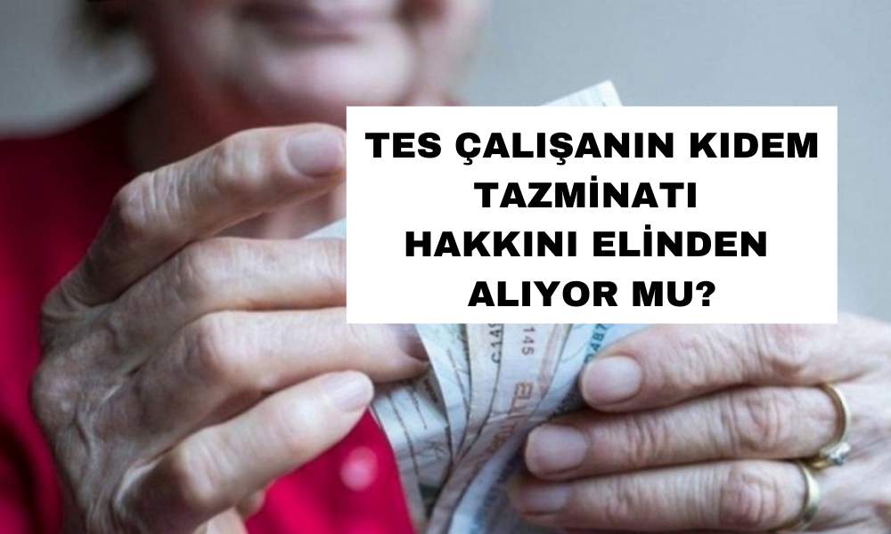 Uzman İsim Yeni Emeklilik Sistemi TES’in Detaylarını Açıkladı