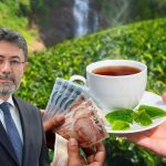 Yumaklı Duyurdu: Çay Üreticilerine Ödemeleri Yarın Yapılacak