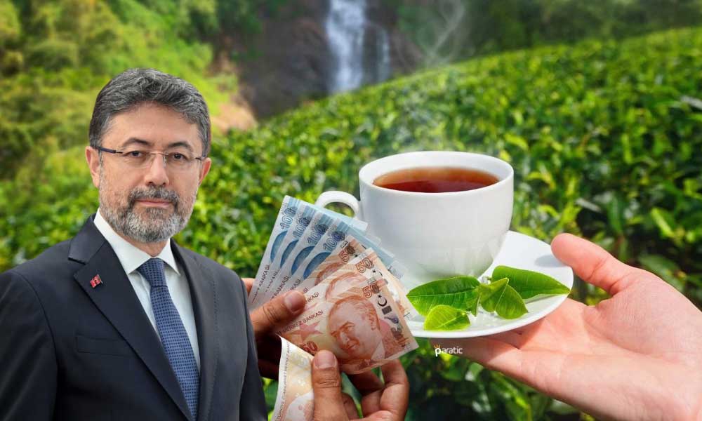 Yumaklı Duyurdu: Çay Üreticilerine Ödemeleri Yarın Yapılacak
