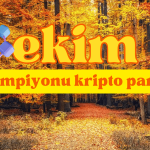 Bu Kripto Para Yüzde 50 Artışla Ekim Şampiyonu Oldu