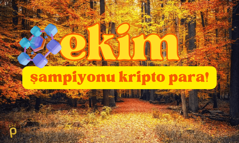 Bu Kripto Para Yüzde 50 Artışla Ekim Şampiyonu Oldu