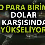 Dolar Endeksi Düştü, Parite Bir Ayın Zirvesine Çıktı