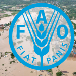 FAO: Su Felaketleri 200 Milyar Dolardan Fazla Maliyete Neden Oldu