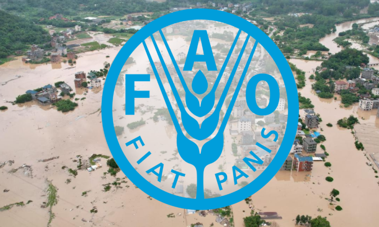 FAO: Su Felaketleri 200 Milyar Dolardan Fazla Maliyete Neden Oldu