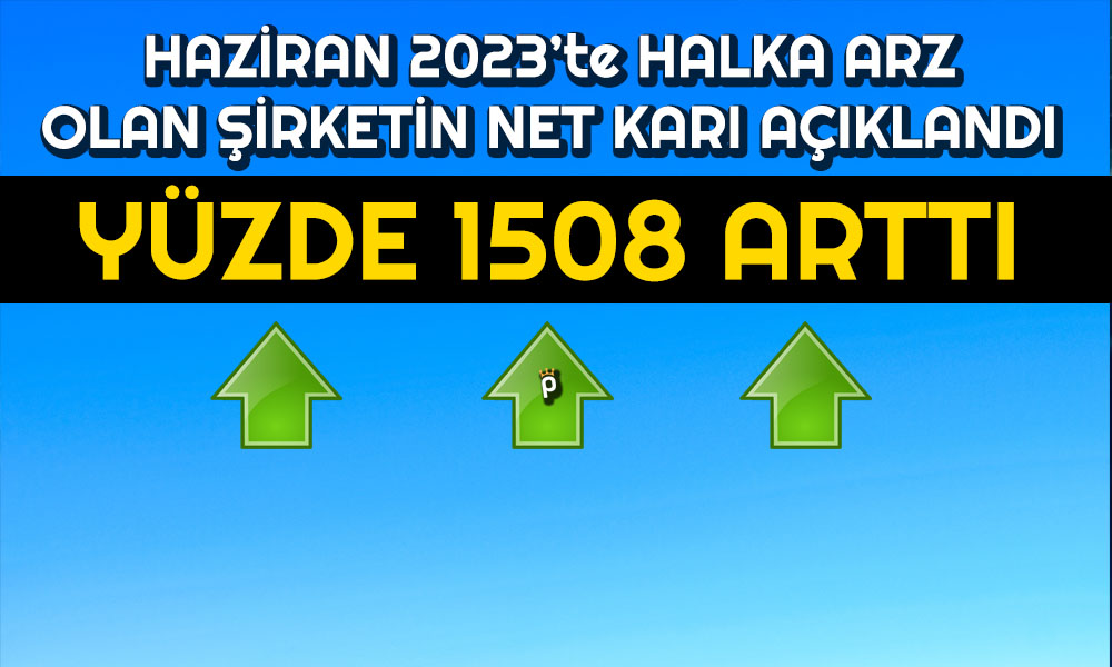 Bu Şirkete Halka Arz Yaradı! Net Kar Yüzde 1508 Arttı