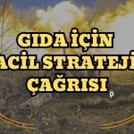 Jeopolitik Gerilimler Gıda Krizini Tetikliyor