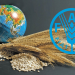 Küresel Gıda Fiyatları İki Aydır Düşüyor