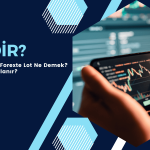 Lot Nedir, Nasıl Hesaplanır?