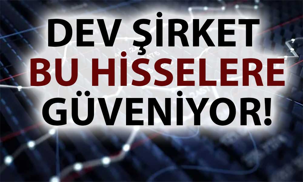 Oyak Yatırım Portföyünü Revize Etti: İşte Yeni Favorileri