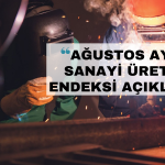 Sanayi Üretim Endeksi Ağustos’ta Aylık Bazda Azaldı