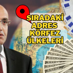 Şimşek: Amacımız Katma Değerli, Kalıcı Yatırımcı Çekmek