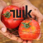 Tarım Üretici Enflasyonundaki Artış Eylül’de Geriledi