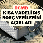 Kısa Vadeli Dış Borç Stoku Ağustos’ta 165,4 Milyar Dolar Oldu