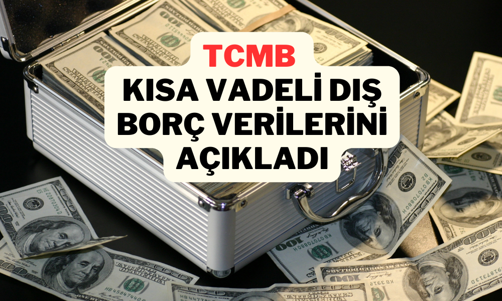 Kısa Vadeli Dış Borç Stoku Ağustos’ta 165,4 Milyar Dolar Oldu