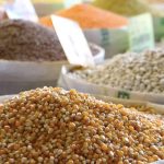 TİM: Hububat İhracatında Yüzde 10’un Üzerinde Artış Kaydedildi